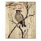 Designart - Vintage Australian Bird Illustrations III - Traditional Print on Natural Pine Wood
